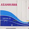 UR18A Asahikawa Express (Model Train)