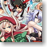 Queens Blade The Duel - Master and Pupil`s Bonds - Booster Pack (Trading Cards)