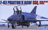 F-4EJ PhantomII 8SQ. Panthers 2003 Skills against the competition (Plastic model)