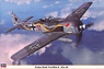 Focke Wulf Fw190A-8 `JGr.10` (Plastic model)