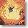 Fate/Zero トレーディングタロットカード (トレーディングカード)