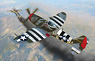 P-47D Thunderbolt U.S.Army Europe Pacific British Armed Forces (Plastic model)