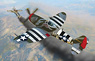 P-47D サンダーボルト 米陸軍航空軍 ヨーロッパ パシフィック 英国軍 (プラモデル)