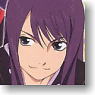 Tales of Vesperia Clear Plate Collection Pack (Trading Cards)