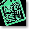 Akihabara Dissemination Ayamakie Seal Prohibit Peeping : Green (Anime Toy)