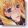 Macross F Visual Art Bromide -the Movie Edition- (Trading Cards)