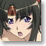 Queens Blade Nomadic Soldier Pillow Case B (Tomoe) (Anime Toy)