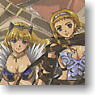 Aquarian Age Extra Expantion [Queens Blade] (Trading Cards)