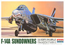 F-14A Sundowners (Plastic model)