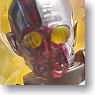 S.I.C. Vol.1 Kikaider Artist special Version (Completed)