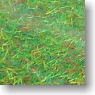*Grass Mat (Green) (Model Train)