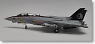 F-14A アメリカ海軍 VF-154 「ブラックナイツ・ミレニアム」 CAGバード USSインディペンデンス 厚木基地 NF100 (完成品飛行機)