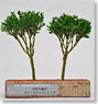 手作り樹木 グレードアップシリーズ ホルトノキ (2本入) (鉄道模型)