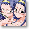 Fight Ippatsu! Juden-chan!! Alesta Blanket Dakimakura Cover (Suede) (Anime Toy)