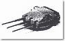 ドイチェランド級装甲艦 グラーフシュペー用 52口径 28.3cm砲身 6本 (プラモデル)