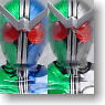S.H.Figuarts Kamen Rider Double Cyclone Trigger & Cyclone Metal  (Completed)