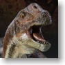 Dinosauria Versus Diorama StatueAllosaurus VS Camarasaurus