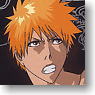 Bleach Clear Soul Plate 2 Pack (Trading Cards)