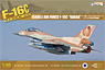F-16C Block 40 `BARAK` Israeli Air Force Fighter (Plastic model)