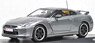 Nissan GTR SpecV Nurburgring TestCar Gray Metallic (Diecast Car)