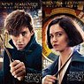 Fantastic Beasts Poster Magnet Collection (Set of 16) (Anime Toy)