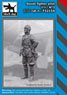 WW.II ソ連 戦闘機パイロット フィギュア No.3 (プラモデル)