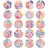 PreCure All Stars Big Can Badge Biscuit -20th Anniversary- (Set of 12) (Shokugan)