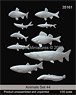Animals Set 44 (Freshwater Fish) (Plastic model)