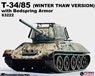 WW.II ソビエト軍 T-34/85 ベッドスプリングアーマー装備 冬季雪解け迷彩仕様 完成品 (完成品AFV)