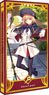 カードファイル Fate/Grand Order 「キャスター/アルトリア・キャスター」 (カードサプライ)