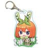 Pukasshu Acrylic Key Ring The Quintessential Quintuplets 3 Yotsuba Nakano Usamimi Ver. (Anime Toy)