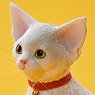 JXK Studio 1/3 Devon Rex 2.0 F (Fashion Doll)