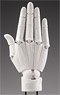 ARTIST SUPPORT ITEM HAND MODEL/R -WHITE- (PVC Figure)