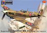 Spitfire Mk.Vc Trop `Over Yugoslavia` (Plastic model)
