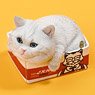 JXK Small Cat in the Cardboard Box 4.0 A (Fashion Doll)