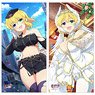 [Shinovi Master Senran Kagura New Link] Long Cushion Cover (Ryona / Pairnyuu Festival) (Anime Toy)