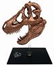 Jurassic Park/ T-REX Skull Scale Prop Replica (Completed)