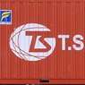1/80(HO) 20ft container T.S.LINES (2 Pieces) (Model Train)