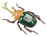 TV Animation [Attack on Titan] Ver. Beetle Survey Corps (Plastic model)