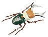 TV Animation [Attack on Titan] Ver. Stag Beetle Survey Corps (Plastic model)