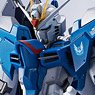 Metal Robot Spirits < Side MS > Rising Freedom Gundam (Completed)