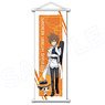 Katekyo Hitman Reborn! Slim Tapestry Science Ver. Tsunayoshi Sawada & Reborn (Anime Toy)