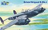 *Bargain Item* Bristol Brigand B.Mk.1 (Plastic model)