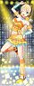 Girlfriend, Girlfriend [Magazine Heroine Fess] [Especially Illustrated] Life-size Tapestry (3) Rika Hoshizaki (Anime Toy)