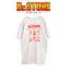 Dr. Stone Mizusawa Sekken Collaboration Big T-Shirt B (Anime Toy)
