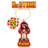 Dr. Stone Mizusawa Sekken Collaboration Big Acrylic Key Ring (Tsukasa Shishio) (Anime Toy)