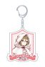 Hatsune Miku Series Hologram Acrylic Key Ring Knight E Meiko (Anime Toy)