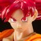 S.H.Figuarts Super Saiyan God Son Goku -Tadashiki Kokoro ga Motarasu Saiyajin no Kami- (Completed)