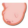 Butareba: The Story of a Man Turned into a Pig Rubber Mouse Pad Design 07 (Pig/D) (Anime Toy)