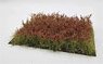 Meadow Flower Red (105 x 74 x 36mm) (Plastic model)